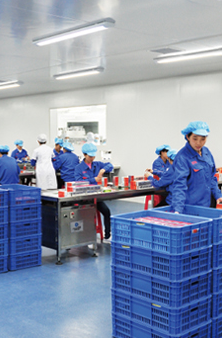 智能化全自动流水 生产线